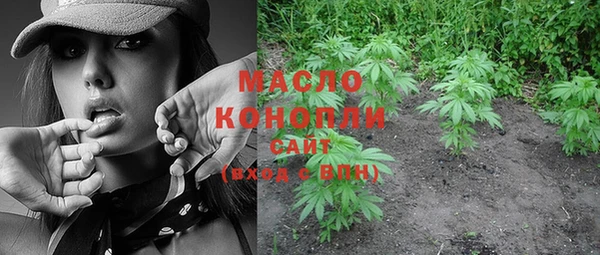 стаф Вязники