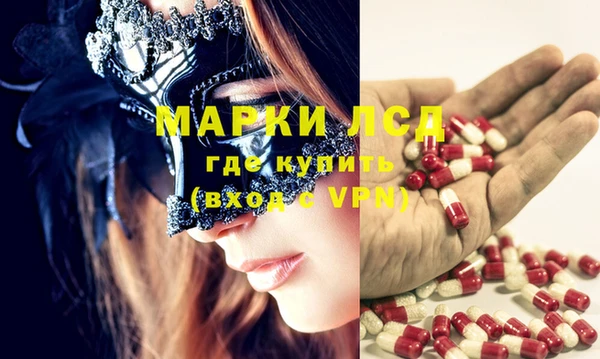 стаф Вязники