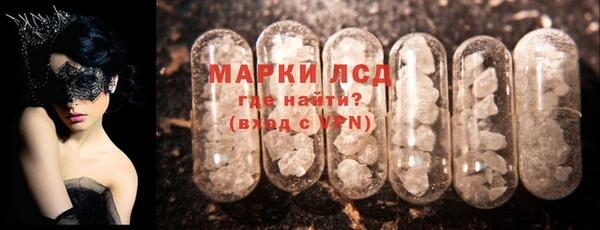 ПСИЛОЦИБИНОВЫЕ ГРИБЫ Горно-Алтайск