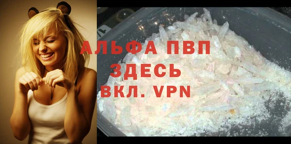 ПСИЛОЦИБИНОВЫЕ ГРИБЫ Горно-Алтайск